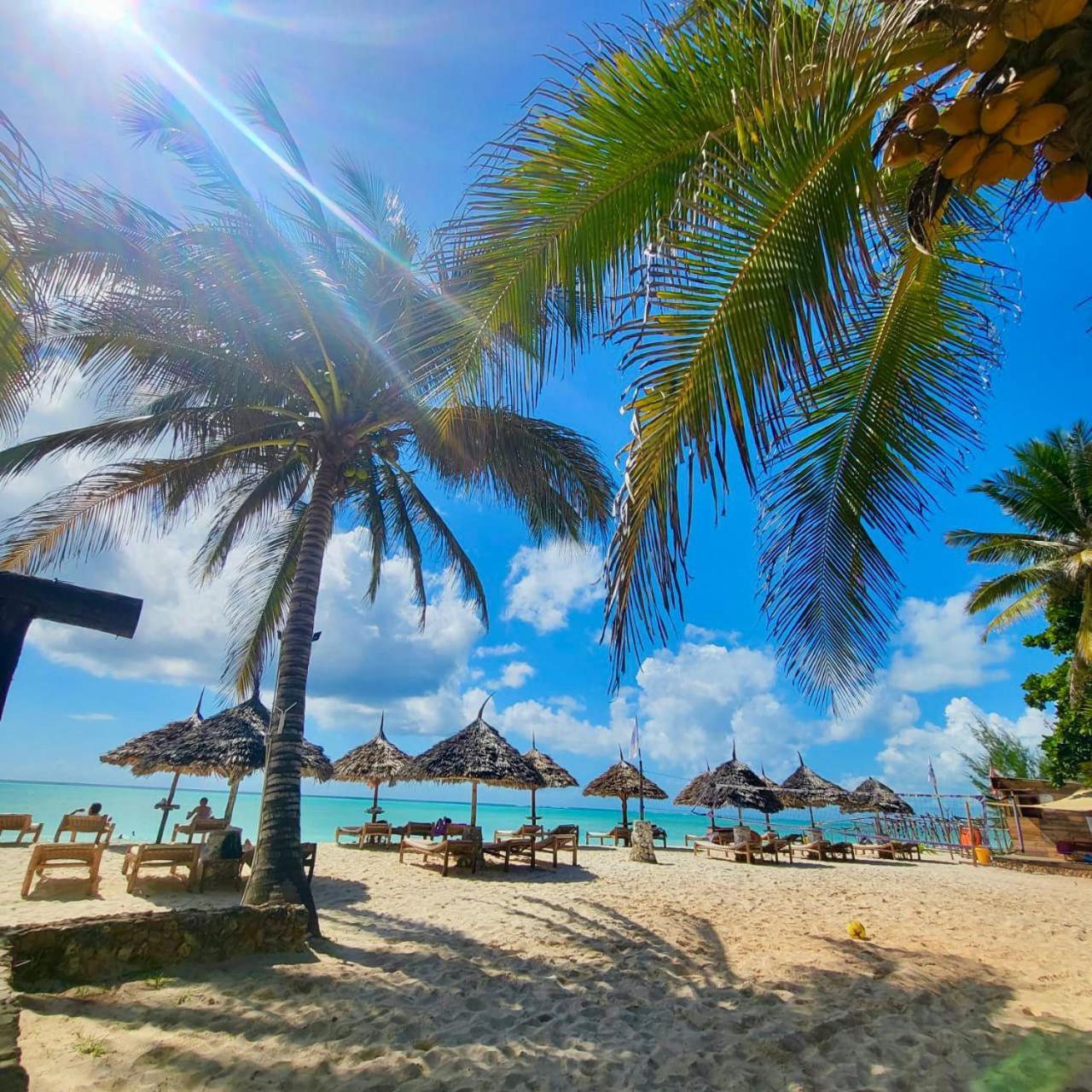 Mambo Ocean Resort Pwani Mchangani Exteriör bild